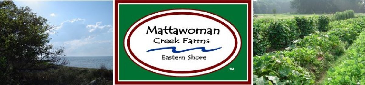 Mattawoman Creek Farms | Eastern Shore